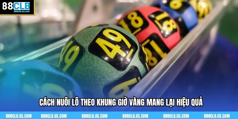 Cách Nuôi Lô Theo Khung Giờ Vàng Mang Lại Hiệu Quả Tại 88clb