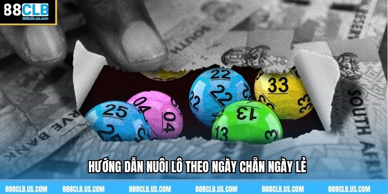 Hướng dẫn nuôi lô theo ngày chẵn ngày lẻ