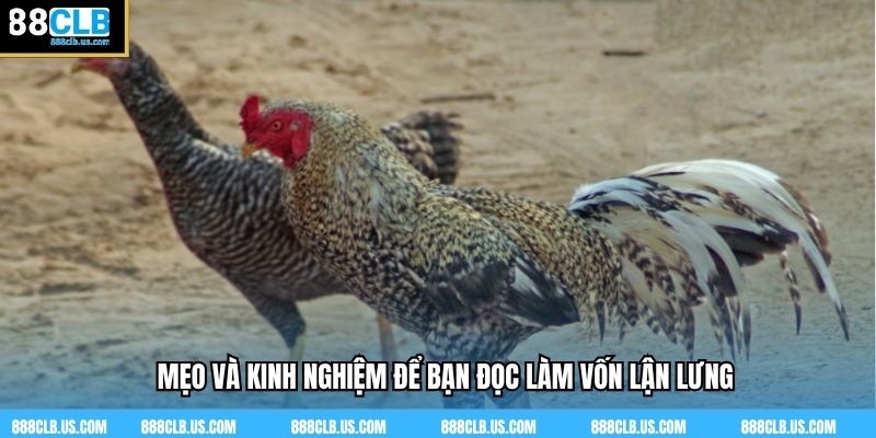 Mẹo và kinh nghiệm để bạn đọc làm vốn lận lưng