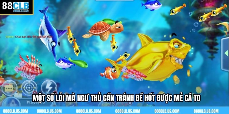 Một số lỗi mà ngư thủ cần tránh để hốt được mẻ cá to