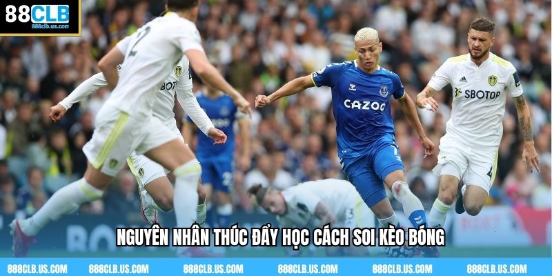 Nguyên nhân thúc đẩy học cách soi kèo bóng