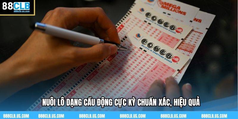 Nuôi lô dạng cầu động cực kỳ chuẩn xác, hiệu quả