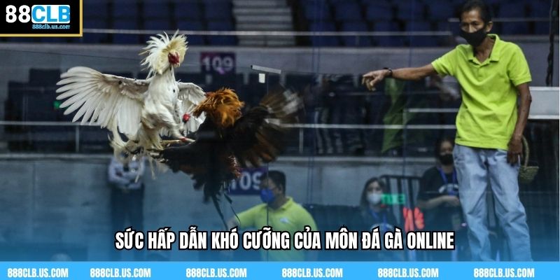 Sức hấp dẫn khó cưỡng của môn đá gà online